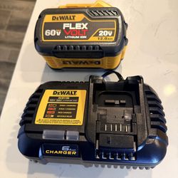 Dewalt 20v Battery Kit 12.0 / Fast Charger