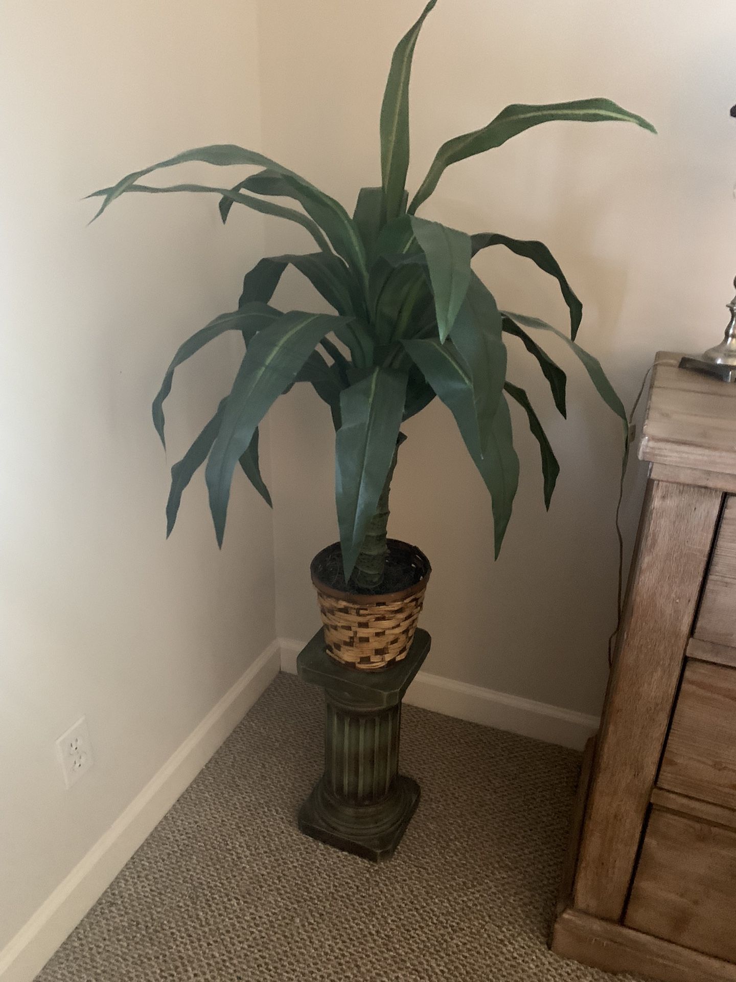 Plant on Painted Plaster Stand;
