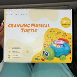 Crawling musical Turtle