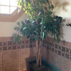Decoration Tree
