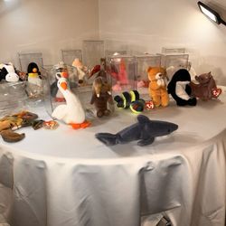 The Beanie Babies Collection ty (17) Stuffed Animals Plush Toy NEW with Plastic Sealed Tags & Cases