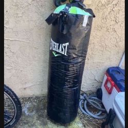 Punching Bag With Gloves 