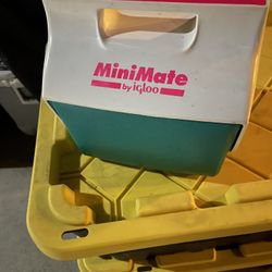 Mini Cooler 