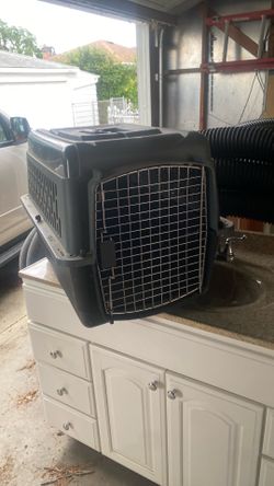Pet carrier