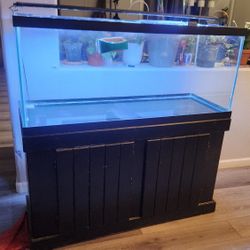 Aqueon 75 Gallon Fish Tank - Pending Pick Up