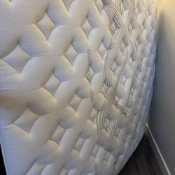 King Nolah Evolution Plush Mattress - Like New