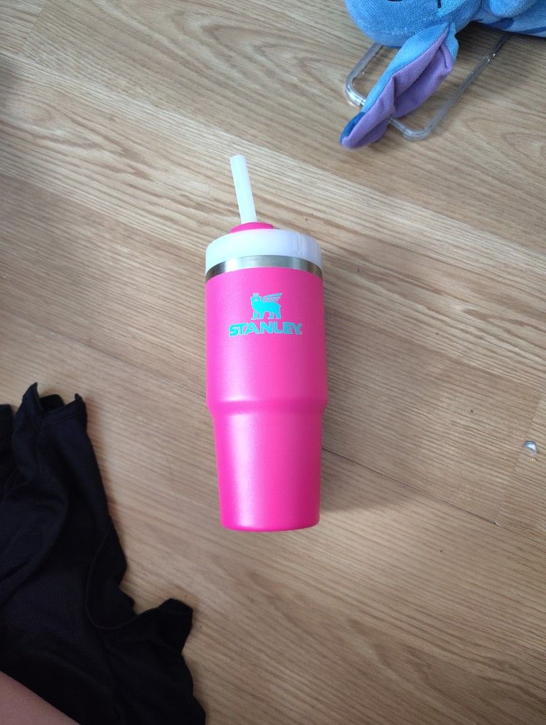 Pink And Teal Stanley