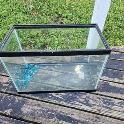 Fish Tank