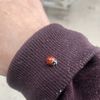 Flybuy