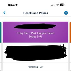 Park Hopper 1- Disneyland Ticket 3-9years