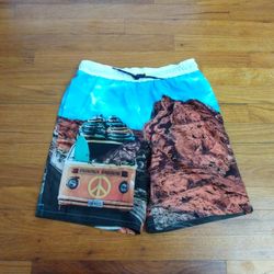 NWT, Wonder Nation Husky Boys VW Volkswagen Van Bus Dinosaurs Swim Shorts/ Trunks XL
