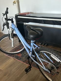Pedal bike