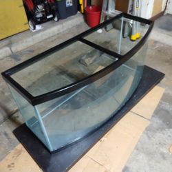 72 Gal Bowfront Aquarium 