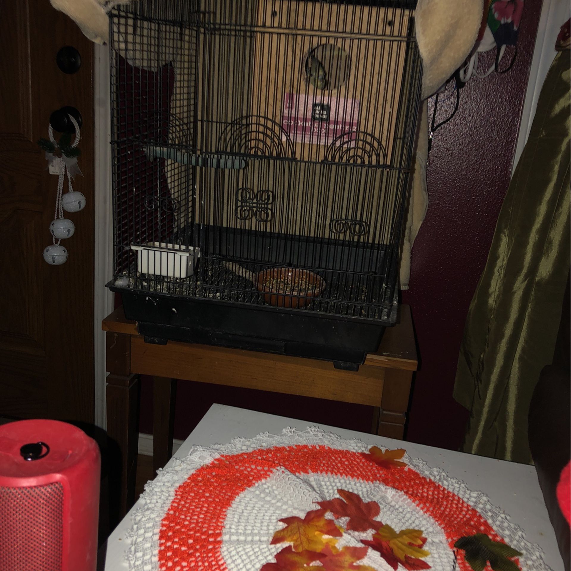 Two Birds For Sale With Cage