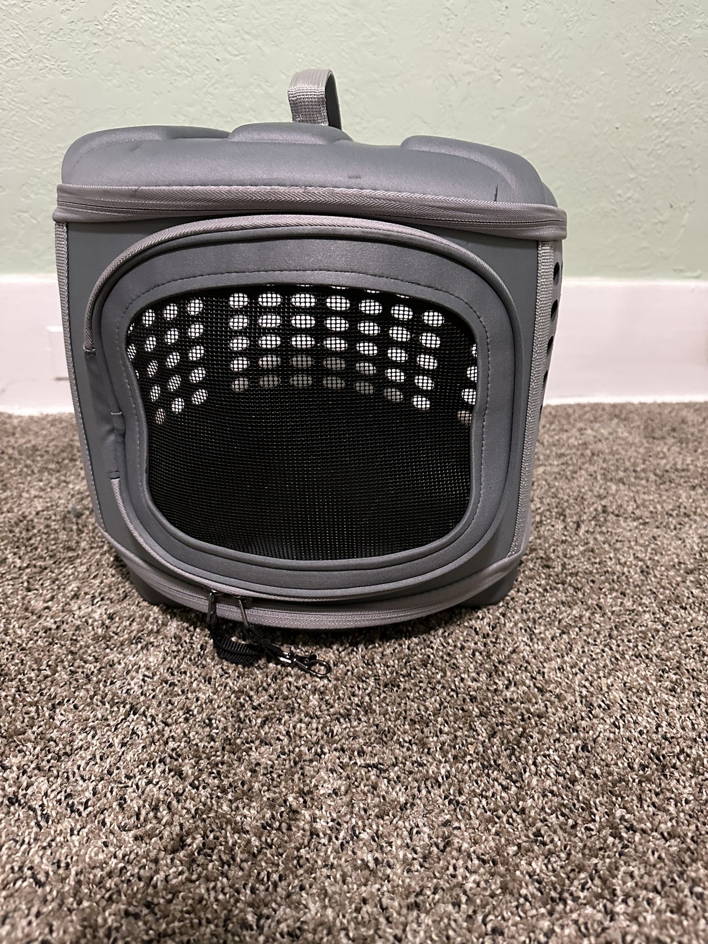 Small Pet Carrier 