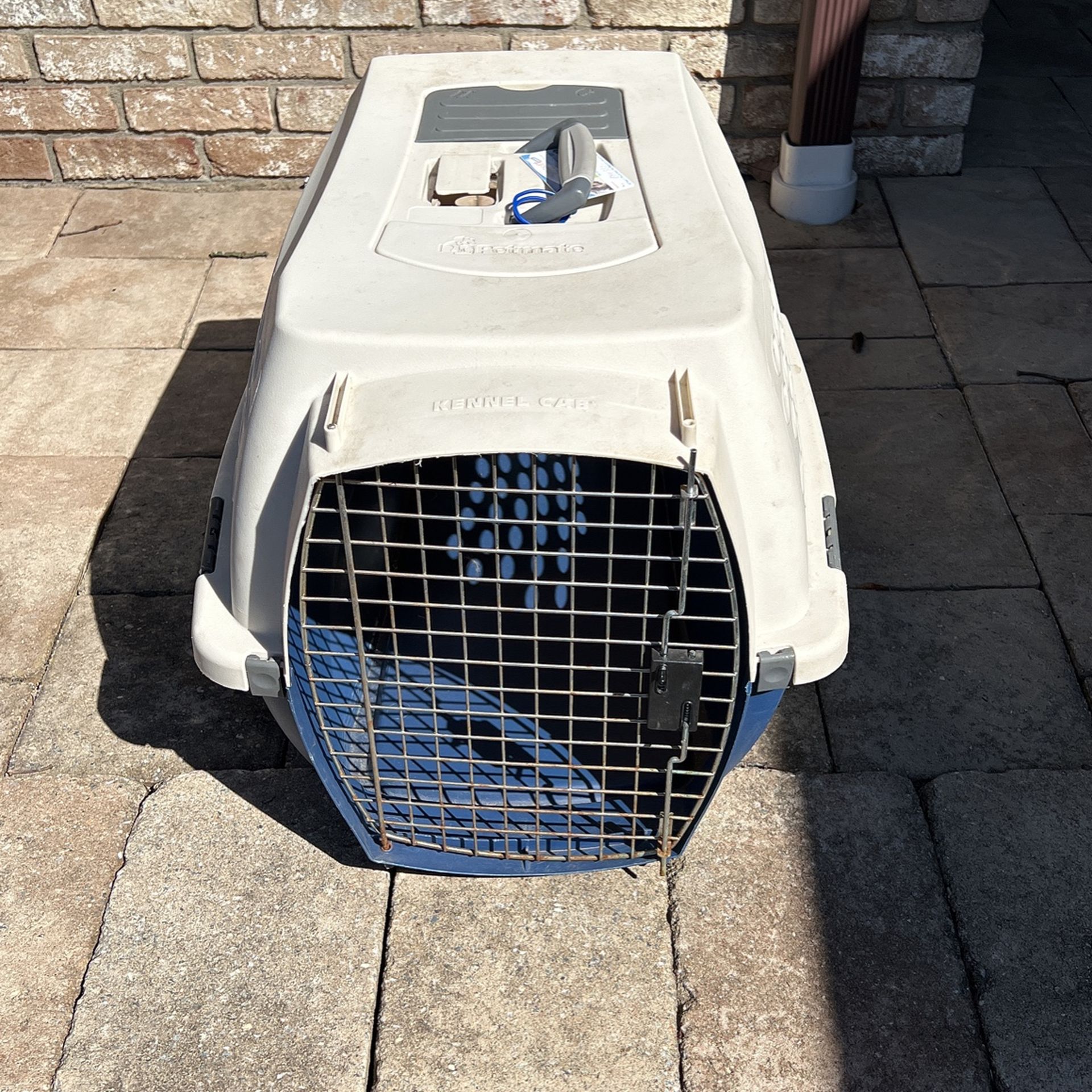 Medium Size Plastic Dog Crate 13 W By 23 Long