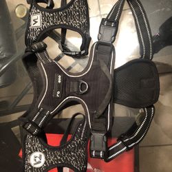 Dog Harnesses