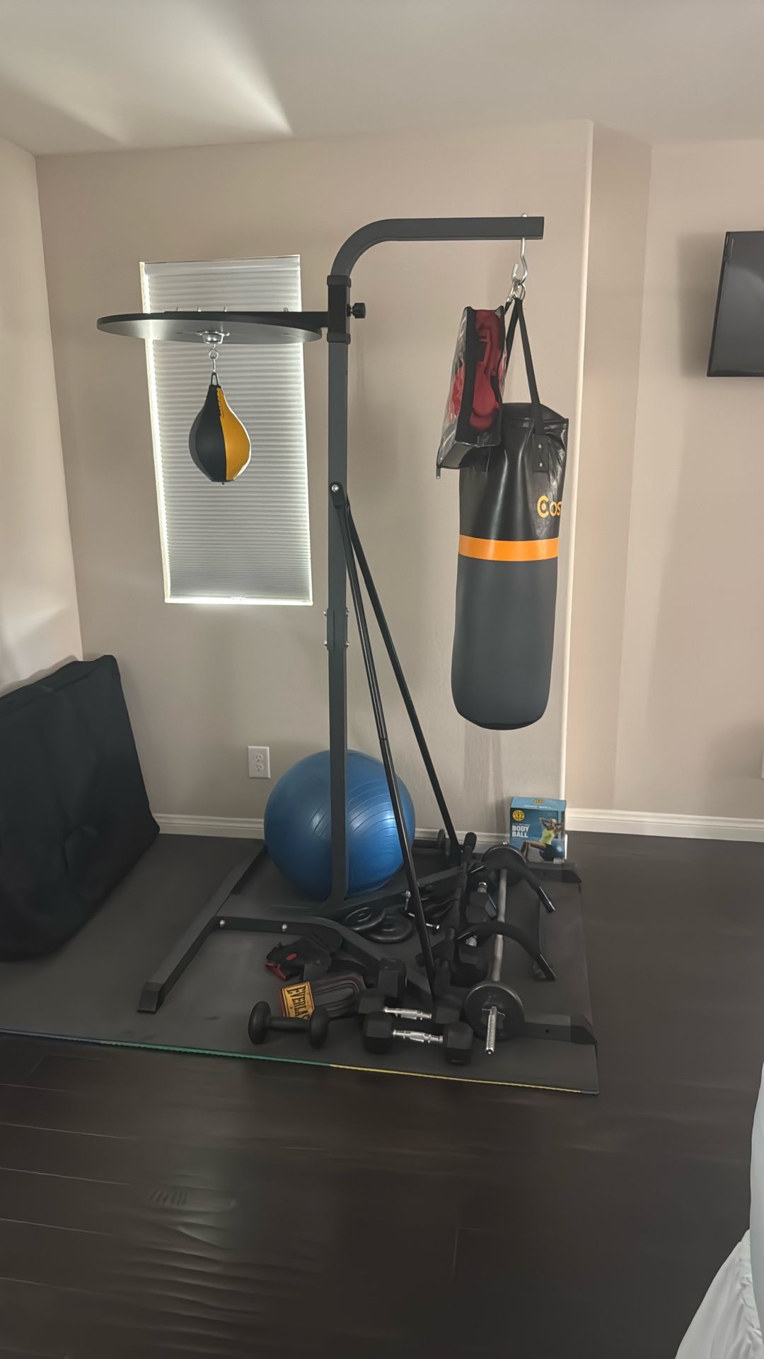 Punching Bag And Stand
