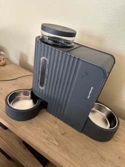 Cat feeder
