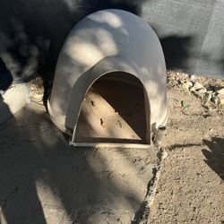 Big Dog House 