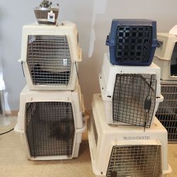 Dog Crates Many Sizes $100ea OBO