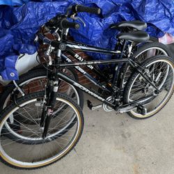 Men’s Schwinn Mesa Bike 