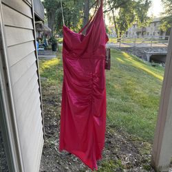 Women's Emerald Sundae Pink Ruched midi dress NWT