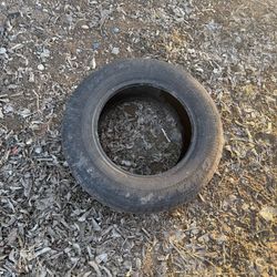 Tire 15   205/65