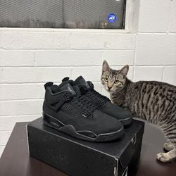 Jordan 4 Black Cat Size 10.5