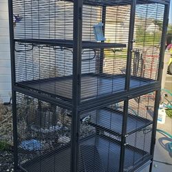 Rat mansion - critter nation