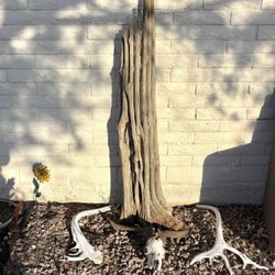 Decorative Cactus Skeleton