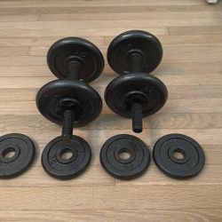 2 x 20lbs Dumbbells 