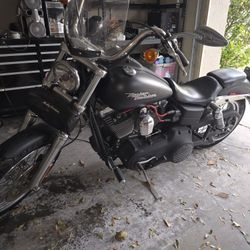 2007 Harley Davidson Street Bob