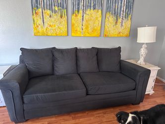 Couch & loveseat set