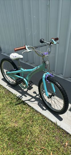20 inch Schwinn