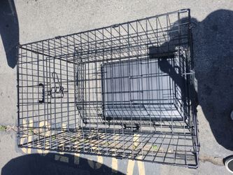 dog crate