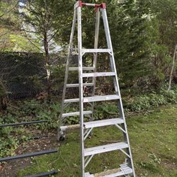 Ladder 10’ 