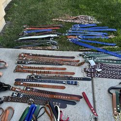 Custom Leather Dog Collars, And Leashes