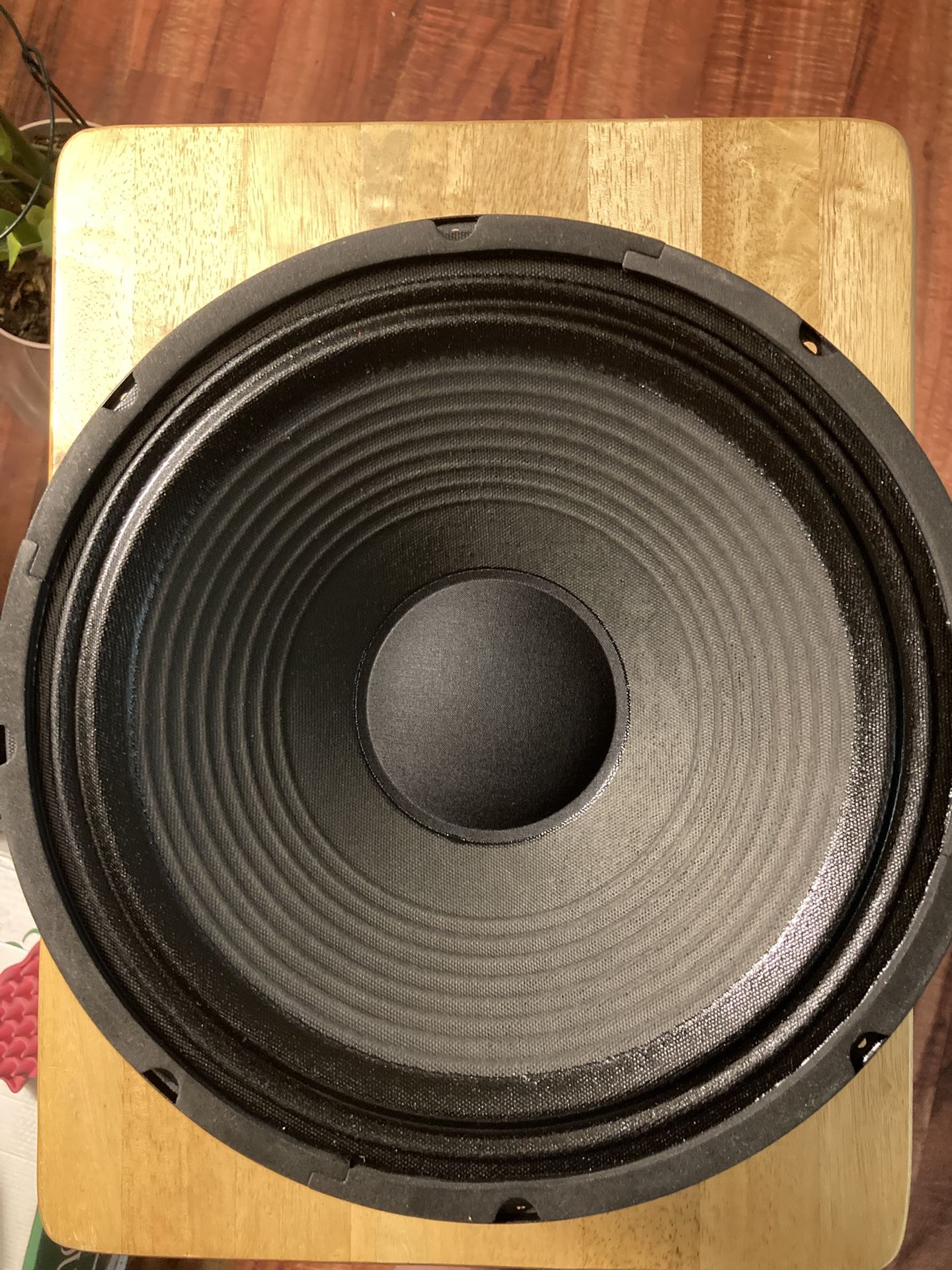 Madison Minstrel Guitar Speaker