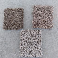 CARPET