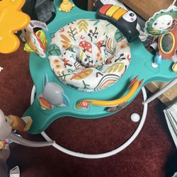 Baby Bouncer 