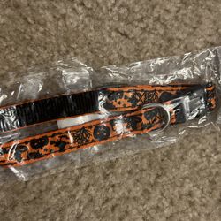 Dog Cat Halloween Orange Collar Size Small 