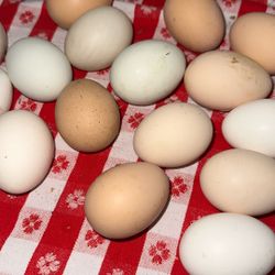 Farm Fresh Eggs 