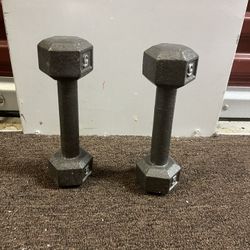 Exercise Weights