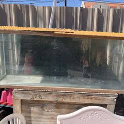 Big Fish Tank Aquarium Terranium