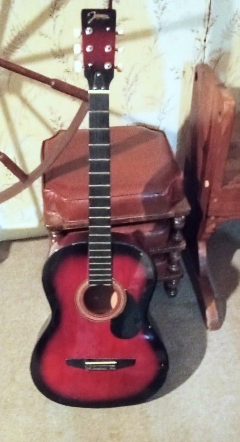 VTG Johnson Acoustic Guitar