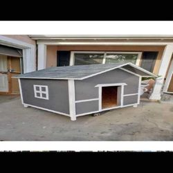 Custom Dog Houses – Made for Your Pet’s Comfort and Needs plant establish