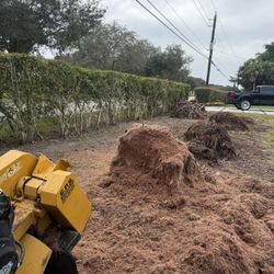 🌳2026 Rayco Stump Grinding 🪵