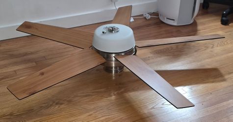 Ceiling fan