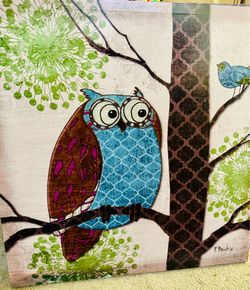 Owl pictures